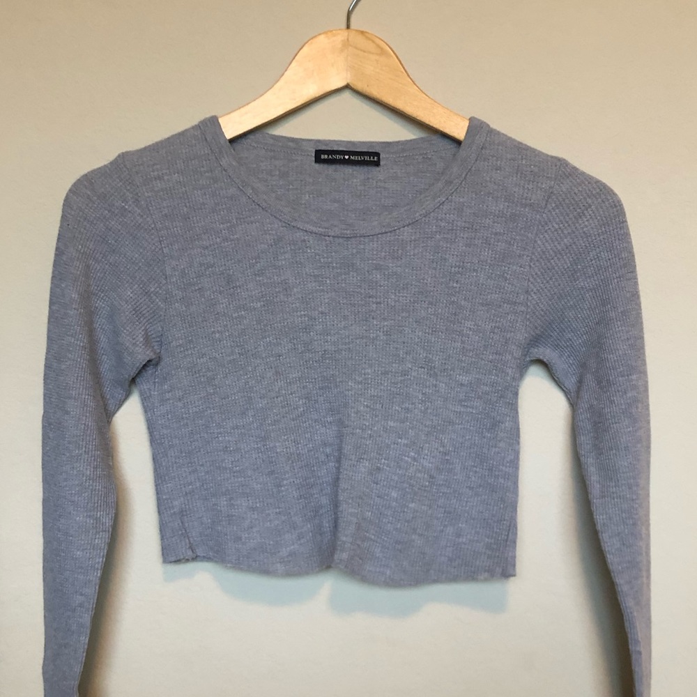 Brandy Melville Long Sleeve Gray Crop Top